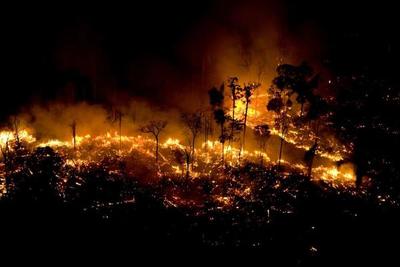 La deforestación en la Amazonía se dispara y aumenta presión sobre Bolsonaro