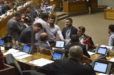 “ÑANE Energía” y ley informconf pasan al archivo