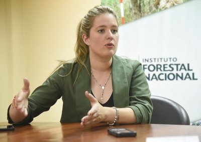El camión de presunto tráfico de rollos proviene de un plan forestal, afirman