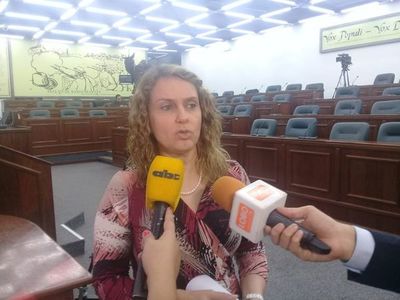 Insisten en necesidad de controlar recursos que se invierten en campañas electorales