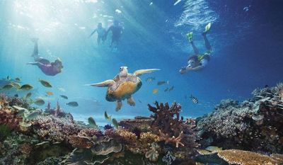 Australia emplea un robot para regenerar la dañada Gran Barrera de coral