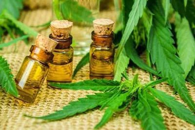 Comisión en Diputados rechaza despenalización del autocultivo del cannabis medicinal