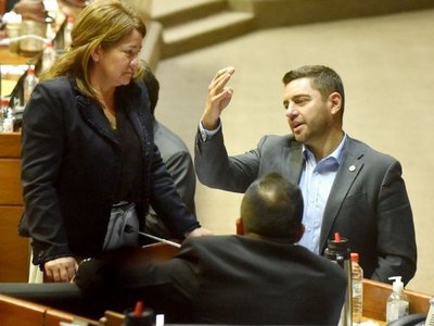 Diputados buscan en otros entes plata para operadores