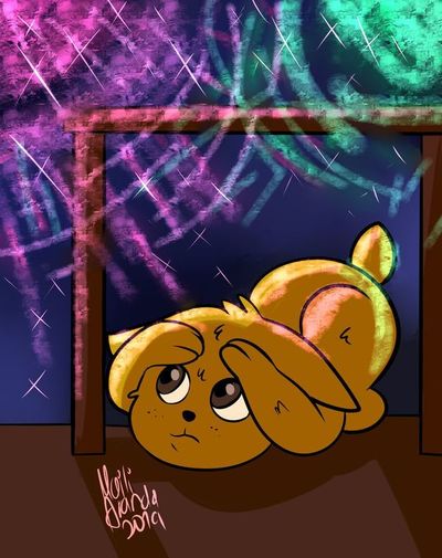 Estruendosa pirotecnia, ruido que genera sufrimiento en las mascotas