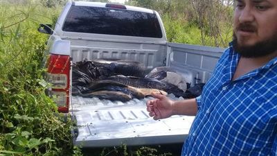 Decomisan pescado fresco en temporada de veda a orillas del Paraná