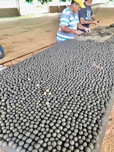 Lanzarán bombas de semillas para reforestar el Ybytyruzú