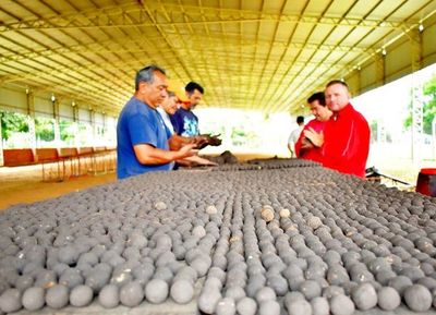 Más de 120.000 bombas de semillas para el Ybytyruzú