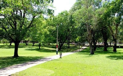 Anuncian fin de semana caluroso y sin lluvias para el sur