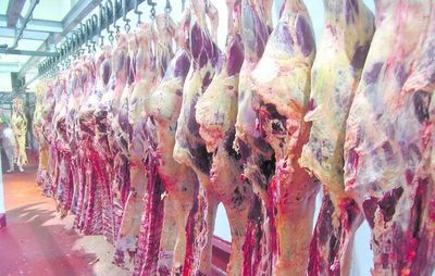ARP pide a Senacsa aclarar caso de “ractopamina” en la carne enviada a Rusia