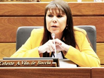Ejecutivo deberá promulgar ley de pensión para adultos mayores. Diputados también rechazó el veto