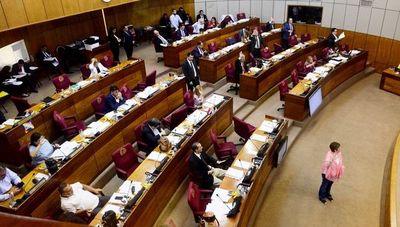 Senado posterga el tratamiento de ley que elimina a los parlasurianos