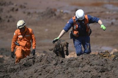 Falta de drenaje causó tragedia de dique minero en Brasil, dicen expertos