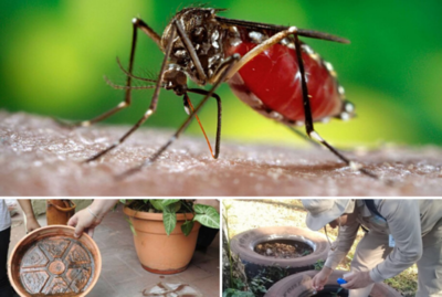 Aumentan los casos de dengue en Capital y Central
