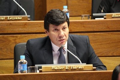 Para Harms, no existe ni indicio para una desaparición de Honor Colorado