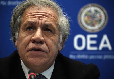 Almagro estima que será reelecto como secretario general de la OEA
