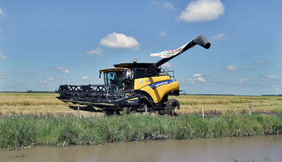 Presidente ratifica apuesta al sector productivo durante inicio de siembra de arroz