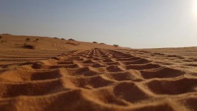 El Dakar 2020, un "all star" del motor español con Alonso, Sainz, Roma y Coma