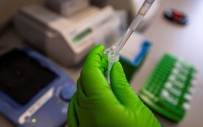 China confirma nuevos casos de una misteriosa neumonía viral