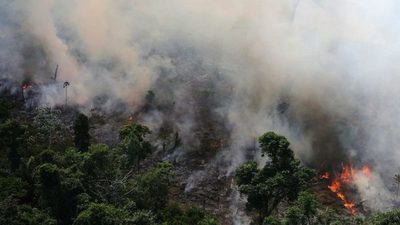 Deforestación en la Amazonía brasileña en 2019 fue 85 % mayor que en 2018
