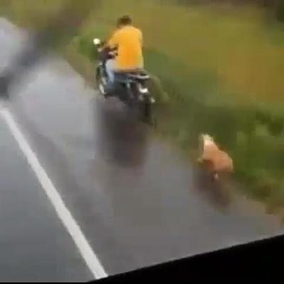 Denuncian a un hombre que arrastra a un perro desde su motocicleta