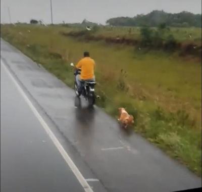 Motociclista arrastró a un perro y fue imputado por la Fiscalía