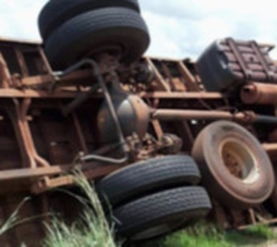 Muere 4 caballos durante accidente de tránsito.