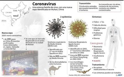 Toda Asia en alerta por virus que hace temer crisis sanitaria mundial