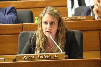 Diputada, con pocas esperanzas de que se apruebe control del dinero en campañas