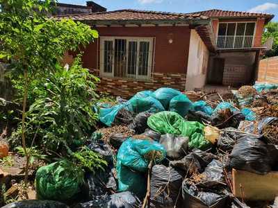 Ñemby: Imputan a dos personas por delitos contra el medio ambiente