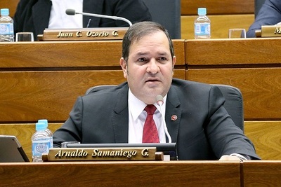 Diputados de la Bancada Añeteté analiza proyecto sobre financiamiento político