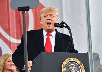 Campaña de Trump contra embajadora de Ucrania sacude el “impeachment”
