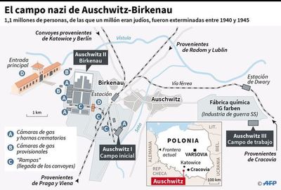 El mundo recuerda hoy liberación de Auschwitz