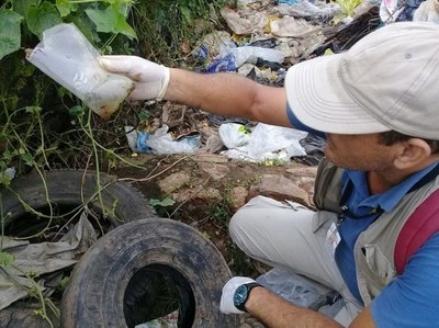 En febrero se alcanzaría el “pico” de epidemia de dengue en el país, alertan