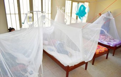 Confirman tres casos de dengue hemorrágico en Ayolas