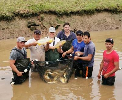 Yacyretá fomenta la piscicultura desde la estación de San Cosme y San Damián