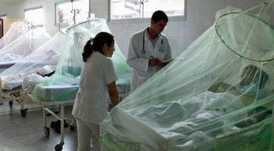 El dengue no da tregua en Misiones, ya van más de 800 casos notificados