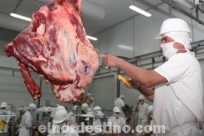 Brasil fue el mercado que más pagó por la carne vacuna de Paraguay dentro de los cinco principales compradores del 2019