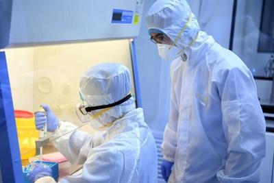 Salud Pública destaca aumento de los test para detección del coronavirus