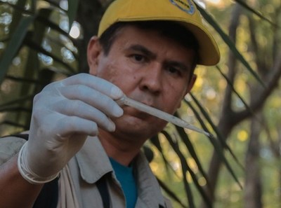 Dengue: Epidemia está oficialmente cerrada, según ministro