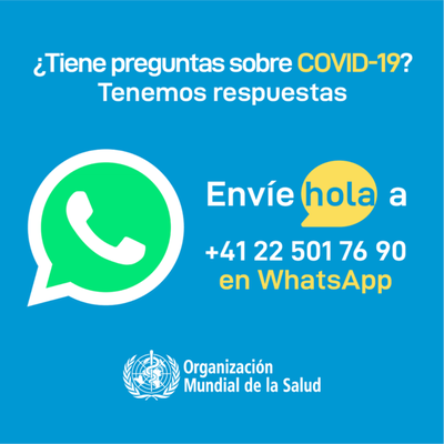 Salud Pública divulga chat de Whatsapp de la OMS para actualizarse sobre coronavirus