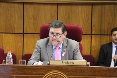 Senadores tratarán el miércoles la prórroga de elecciones municipales y del mandato de intendentes y concejales