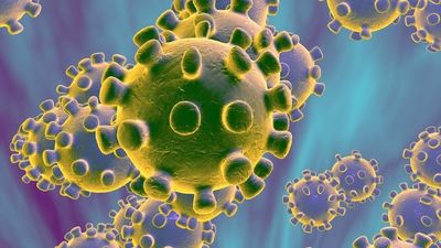 De los 113 infectados por coronavirus en el país 48 llegaron del exterior