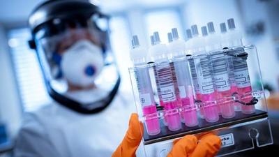 OMS tiene ocho principales candidatas a vacunas contra coronavirus