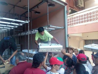 Resaltan inicio de producción de aves en el distrito de Lima