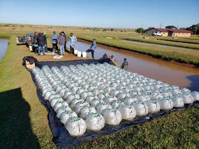 La EBY reinicia entrega de alevines a pequeños productores de Itapúa