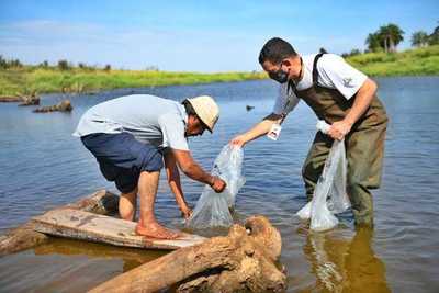 Itaipú entregó más de 900 kg de peces a comunidades indígenas de Alto Paraná