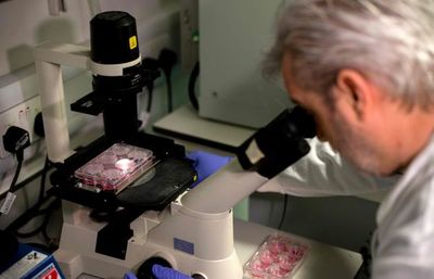 Los científicos enfrentan la desinformación sobre la covid