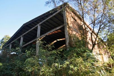 Obra para escuela de carpintería está abandonada hace 10 años