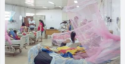 Se confirman 4 muertes por dengue y más de mil casos