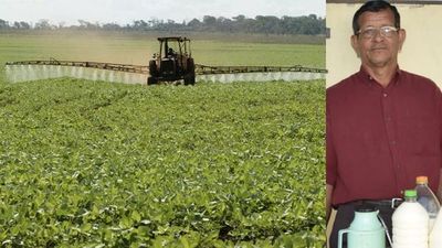 Desde que se instalaron sojeros en la zona, ya no hay producción de miel lamenta apicultor ignaciano